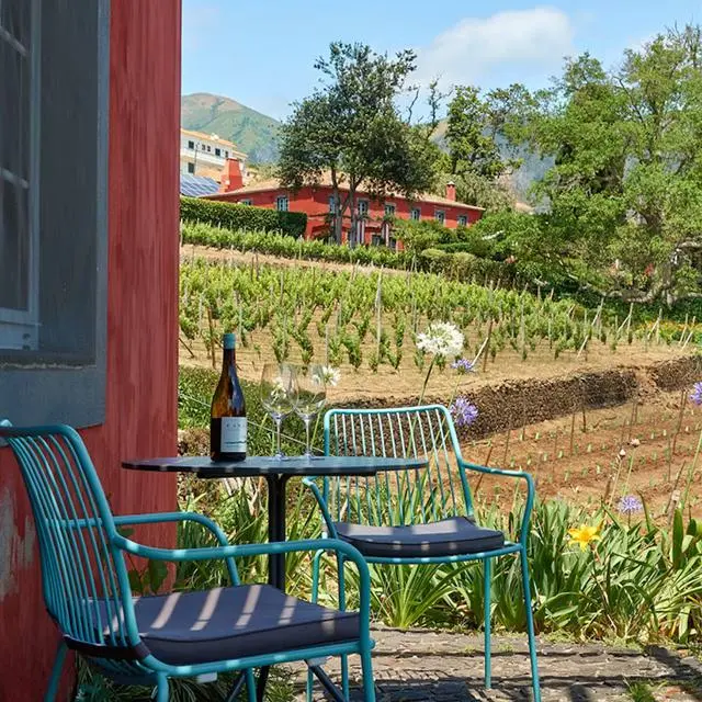 Quinta Das Vinhas