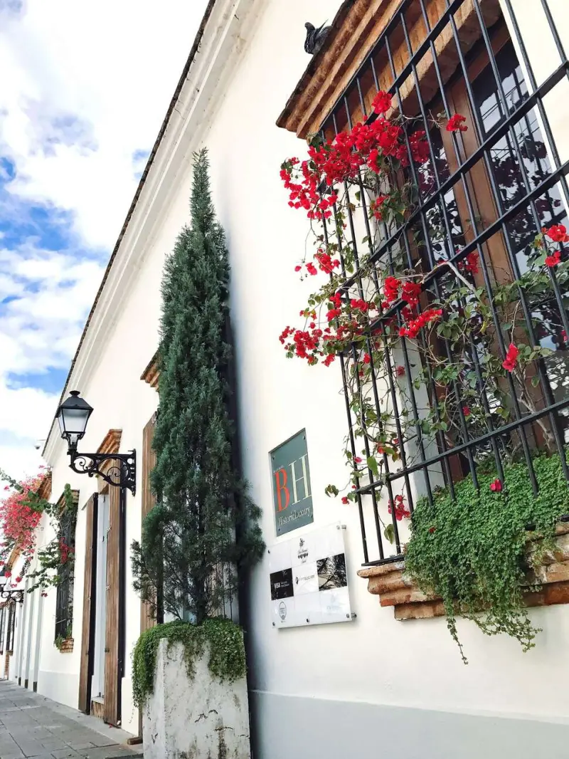 BILLINI HOTEL HISTORIC LUXURY