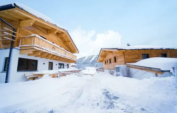 Almdorf Auszeit Fageralm - Premium Chalet