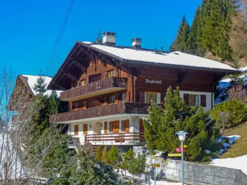 Chalet Bergkristall