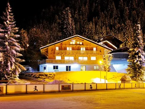 Chalet LES ETOILES DE VONNES