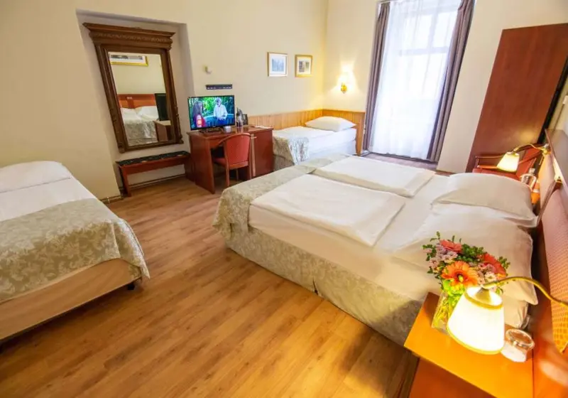 Wenceslas Square Hotel