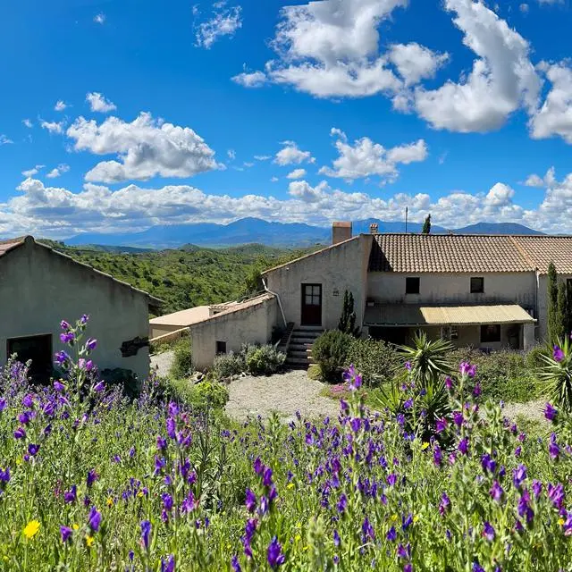 Finca Las Nuevas