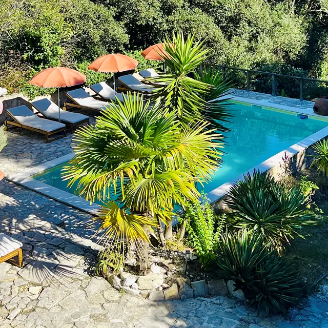 Villa Sophia Holiday Rentals l Glamping | Costa de Prata l Portugal