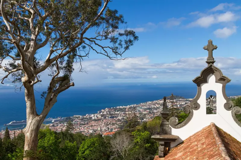 Drive Madeira