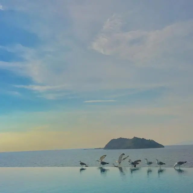 Birds Bay