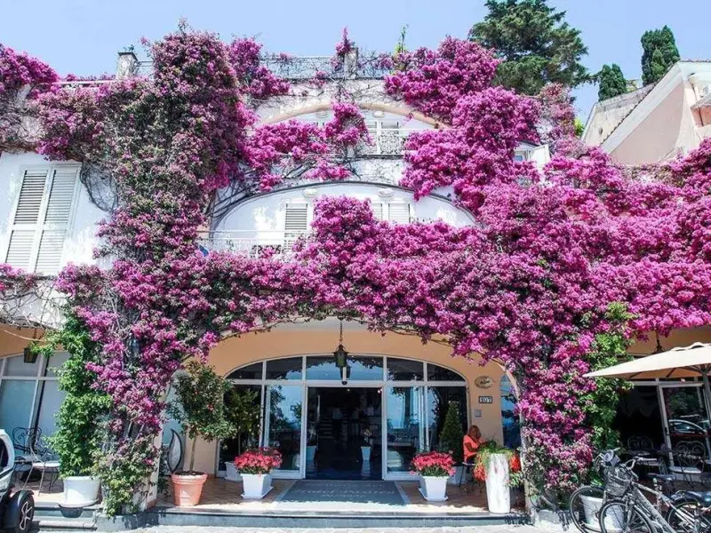 Art Hotel / Hotel Pasitea