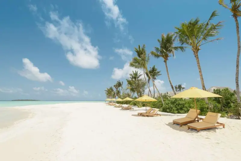 Dhigufaru Island Resort