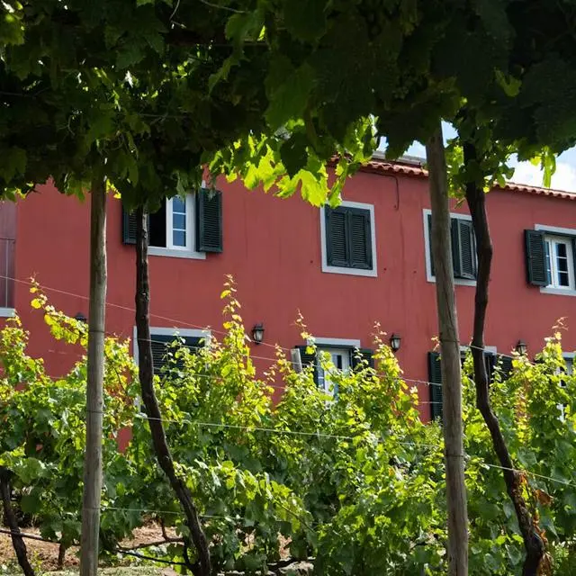 Quinta Das Vinhas
