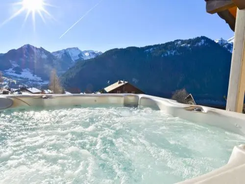 Chalet Des Frasses