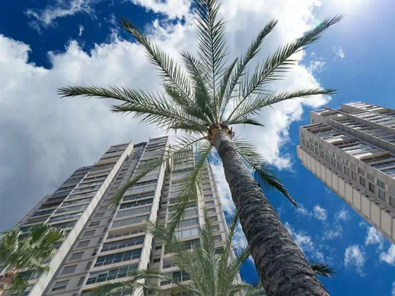 Apartamentos Gemelos 20 - Beninter