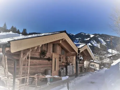 Ferienchalet Dorfblick HOK100 - Holiday Home