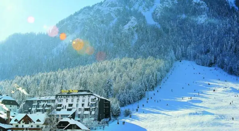 Hotel Alpina