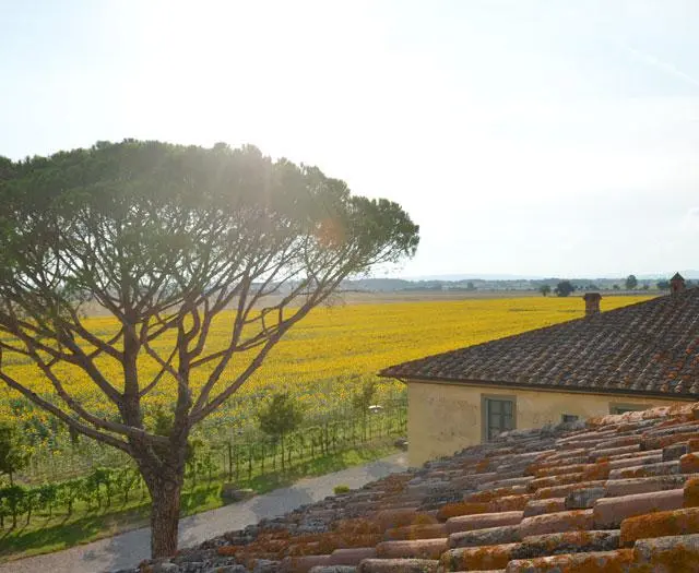 Cortona Resort - Le Terre dei Cavalieri
