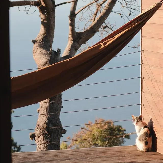 Calheta Glamping Pods