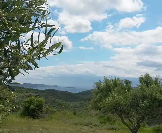 AFENTIKO PIGADI - LUXURY RESIDENSES