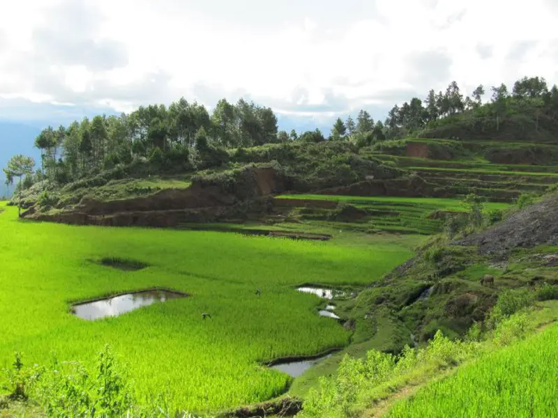 Groepsrondreis Sulawesi