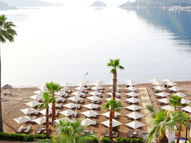 SENTIDO Sea Star