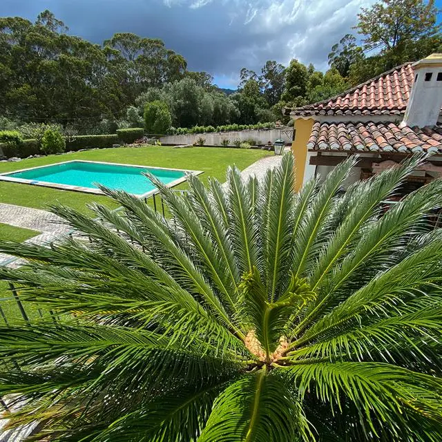 Quinta do Pé Descalço