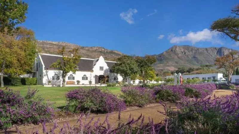 Steenberg Hotel & Spa