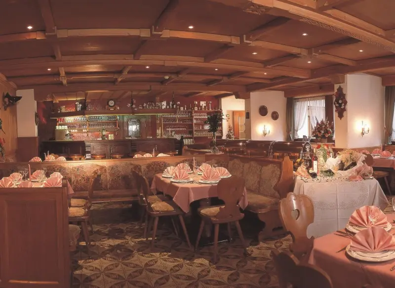 Hotel Alpina