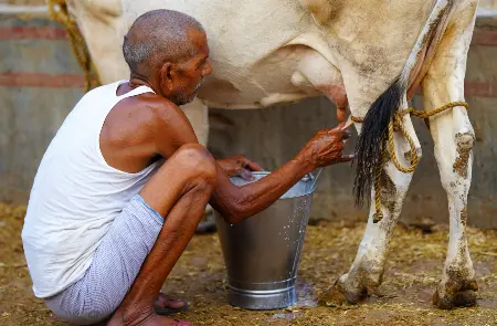Rondreis ONBEKEND NOORD-INDIA - 16 dagen; Bihar, Uttar Pradesh en Madhya Pradesh