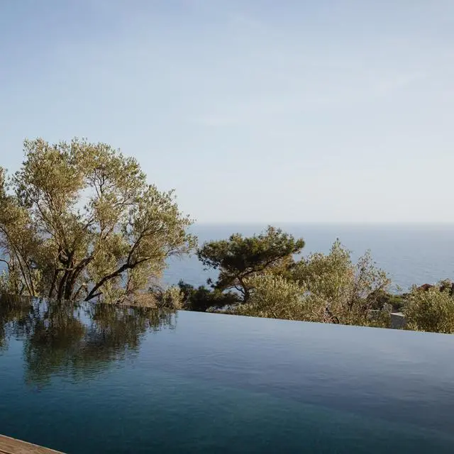 Five Olive Dream Trip