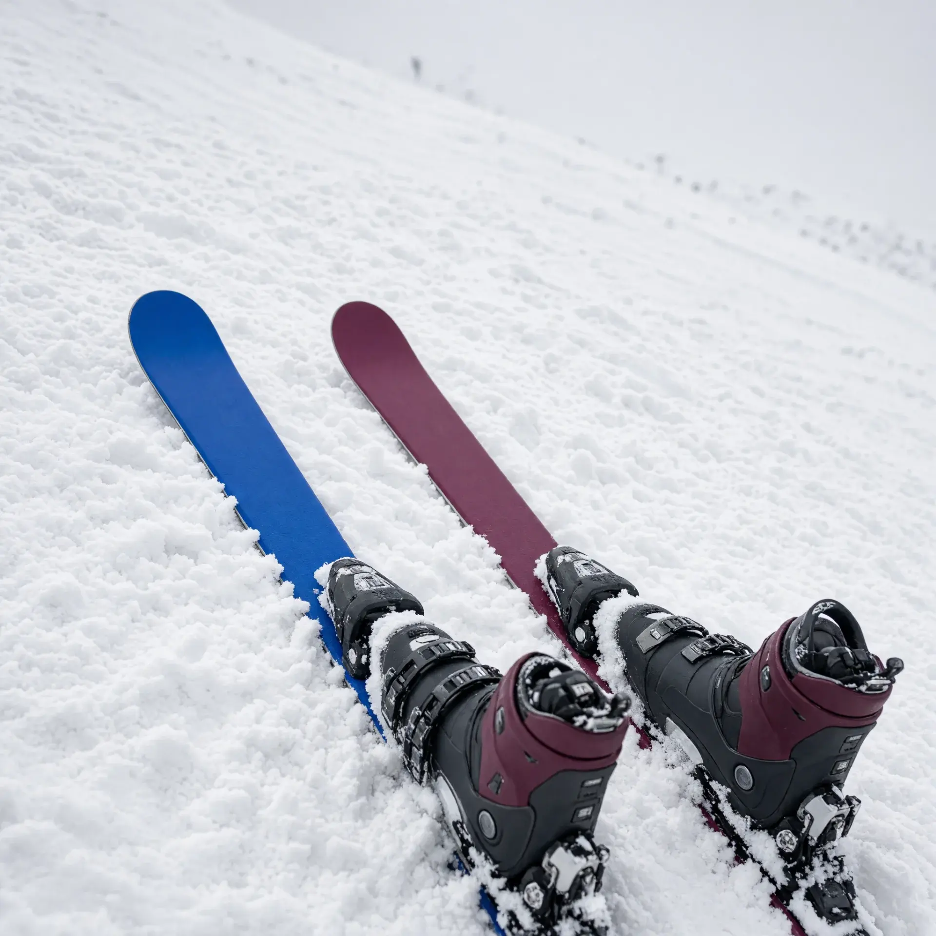 Wintersport in Alpbachtal Oostenrijk