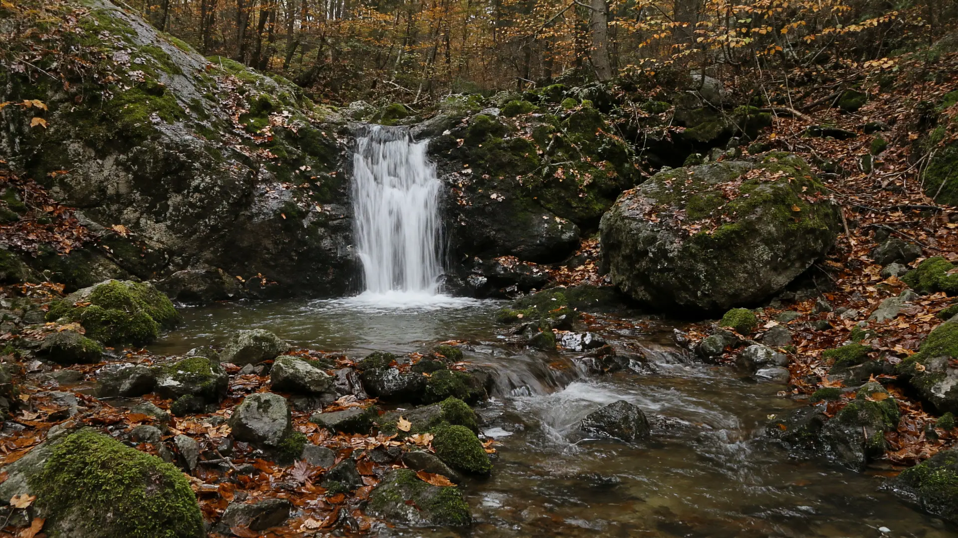 Kleine waterval in een bosbeek in de herfst