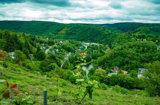 Belgische Ardennen - vakantie in eigen land midden in het groen