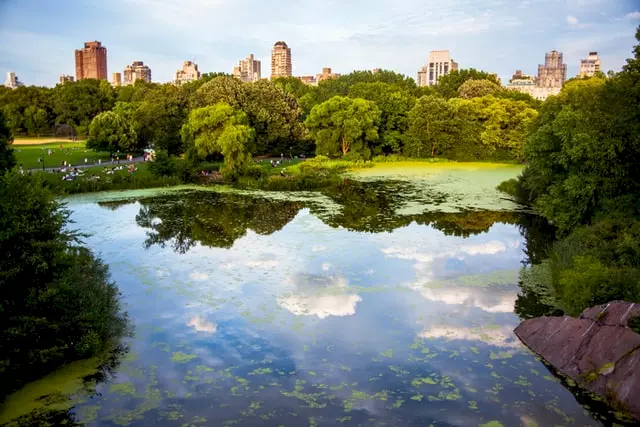 citytrip new york central park