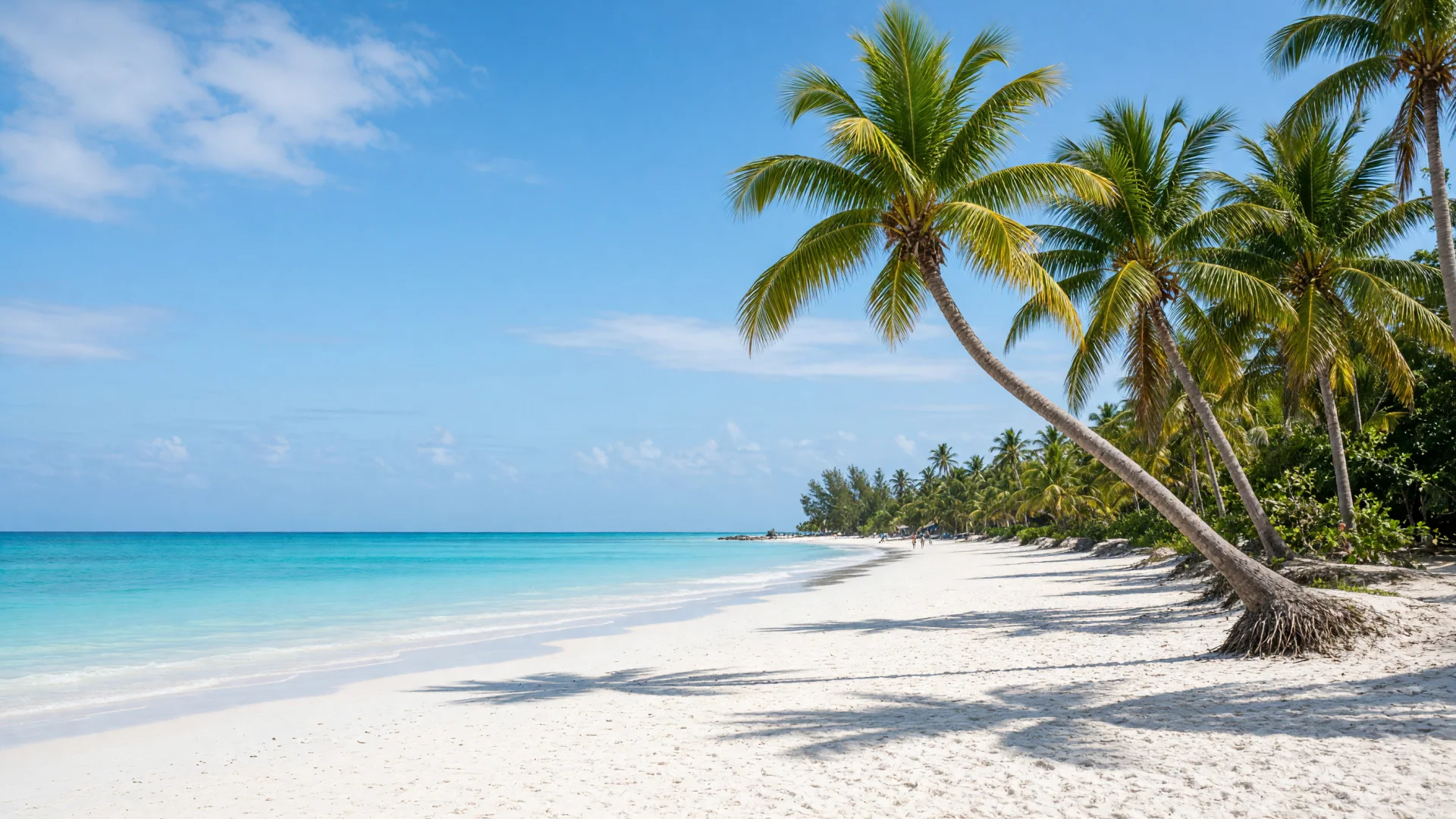 Wit zandstrand met kokospalmen aan de Caribische Zee in Punta Cana