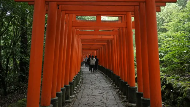 De rode torii-poorten van Fushimi Inari in Kyoto, met enkele kleine wandelaars op het pad