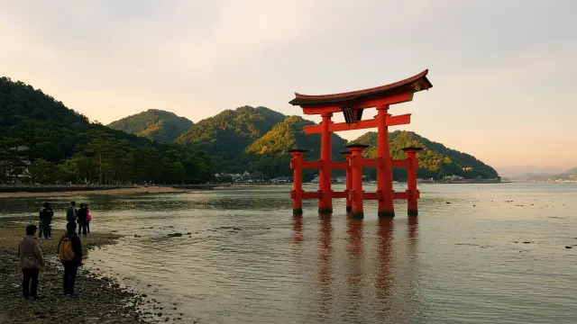 De rode drijvende torii van Miyajima bij vloed, met beboste bergen en enkele bezoekers op de kust