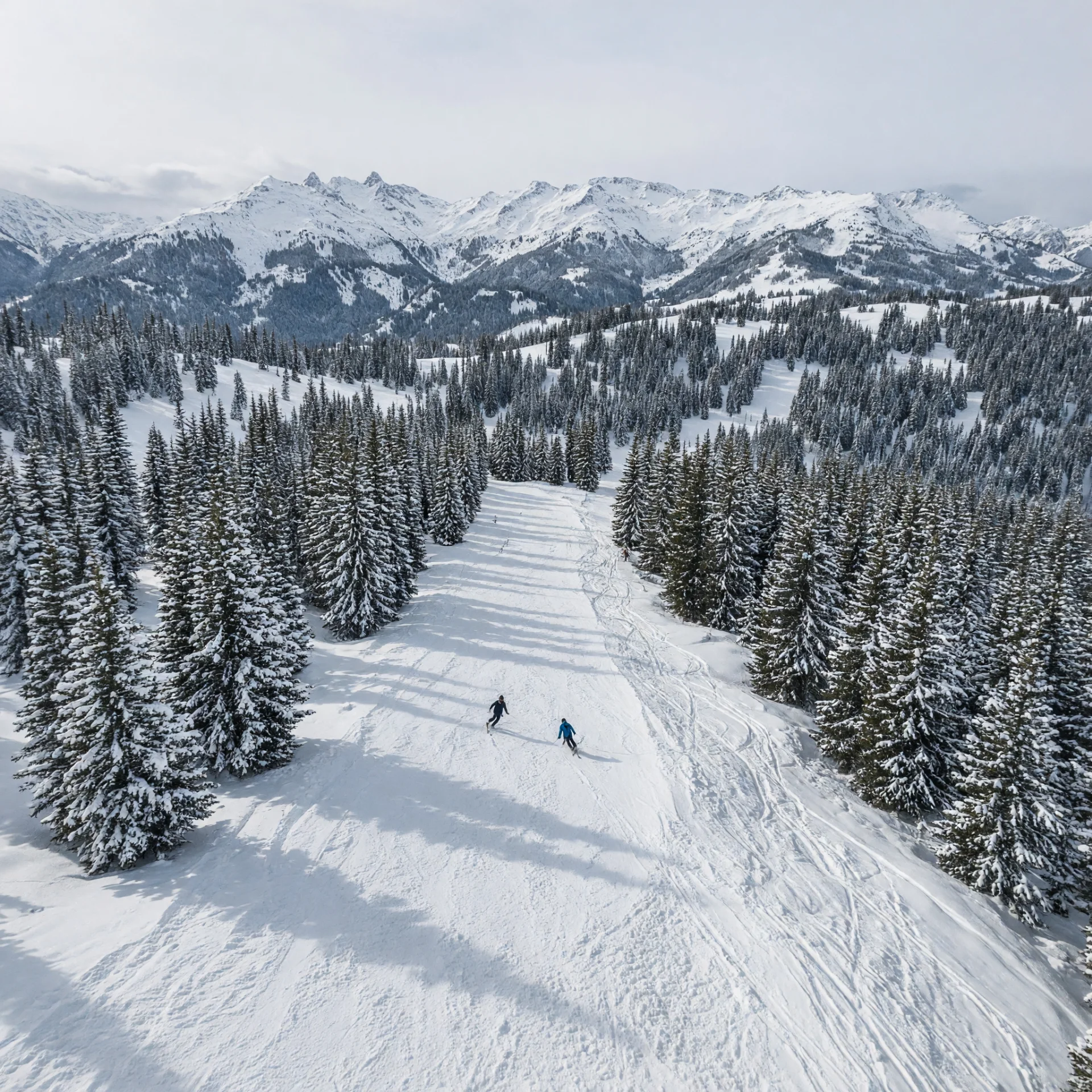 Les 4 Vallées