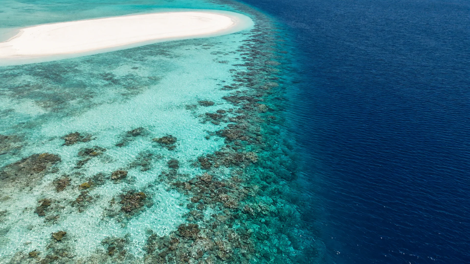 Helder ondiep water, een zandbank en de rand van het rif in het Ari-atol