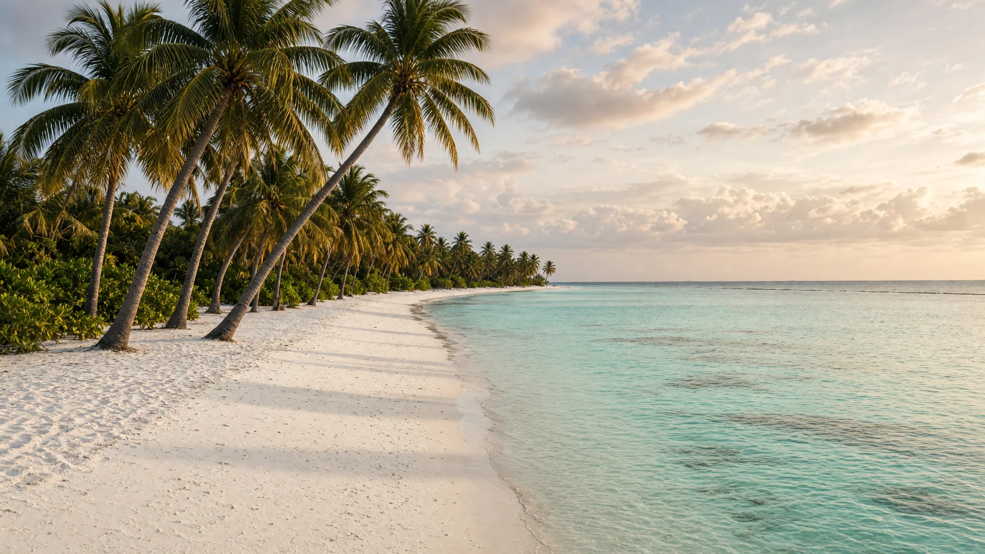 Wit zandstrand met schuine palmbomen op een resorteiland in het Raa-atol
