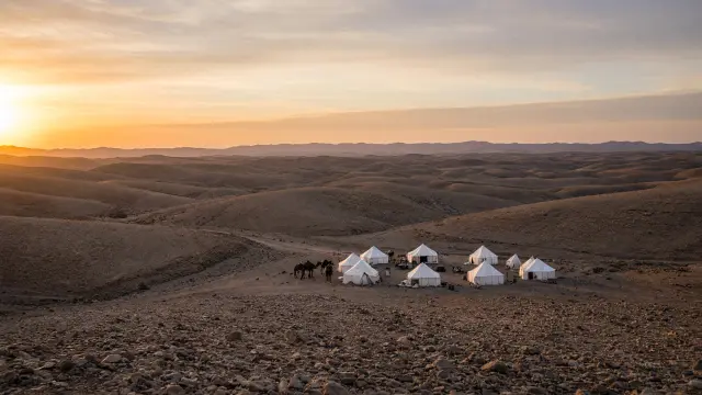 Tentenkamp en kamelen in de Agafay-woestijn bij Marrakech bij zonsondergang