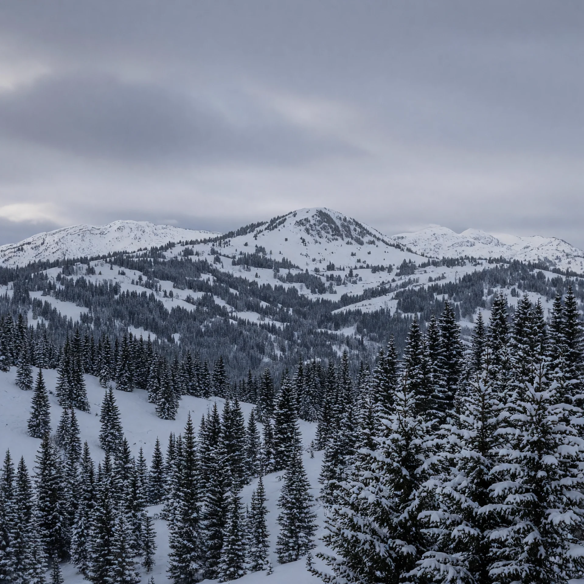 Pistes in de Kitzbüheler Alpen