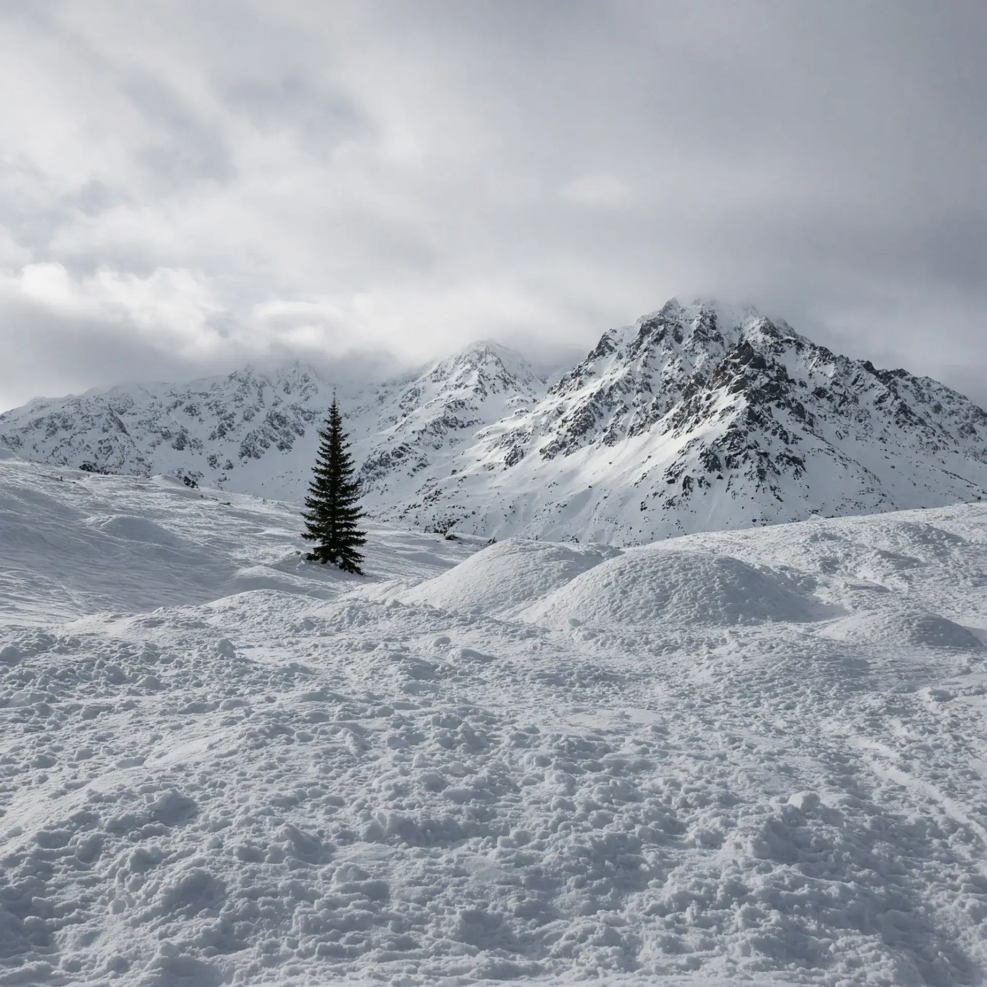 Wintersport in Wildkogel arena Oostenrijk