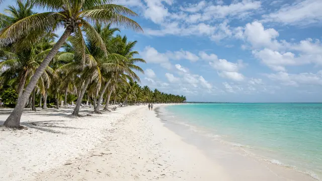 Wit zandstrand met kokospalmen in Punta Cana
