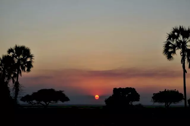 Boek jouw droomvakantie naar Tanzania en ontmoet The big 5