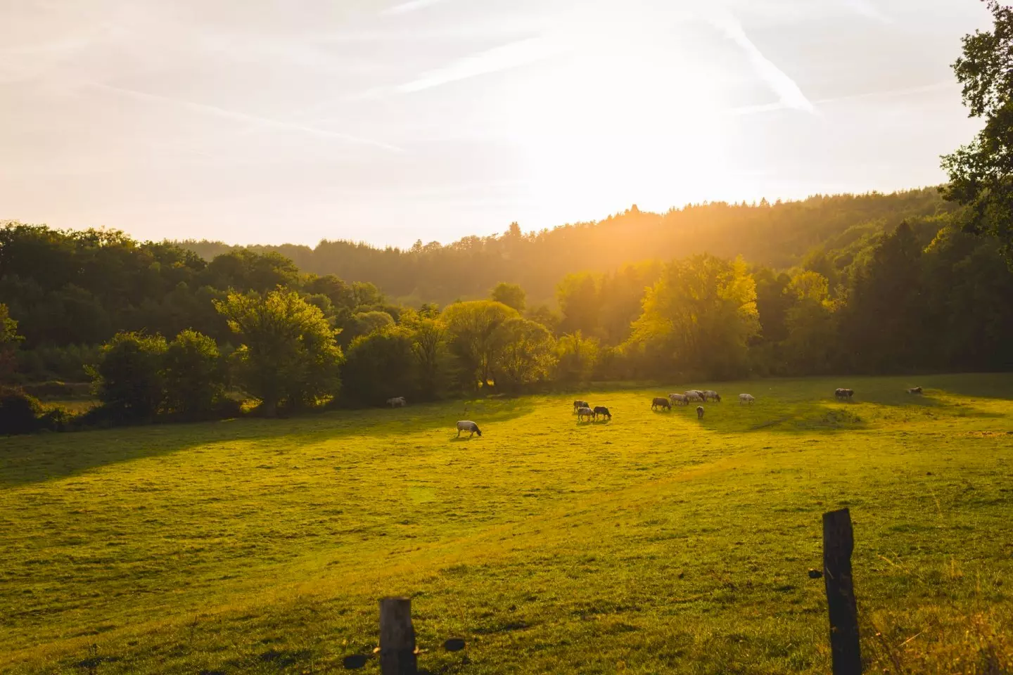 Vakantie in de Belgische Ardennen