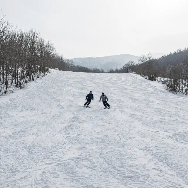 Skiërs dalen af over een zonnige piste met uitzicht op besneeuwde bergtoppen boven het dorp Wagrain