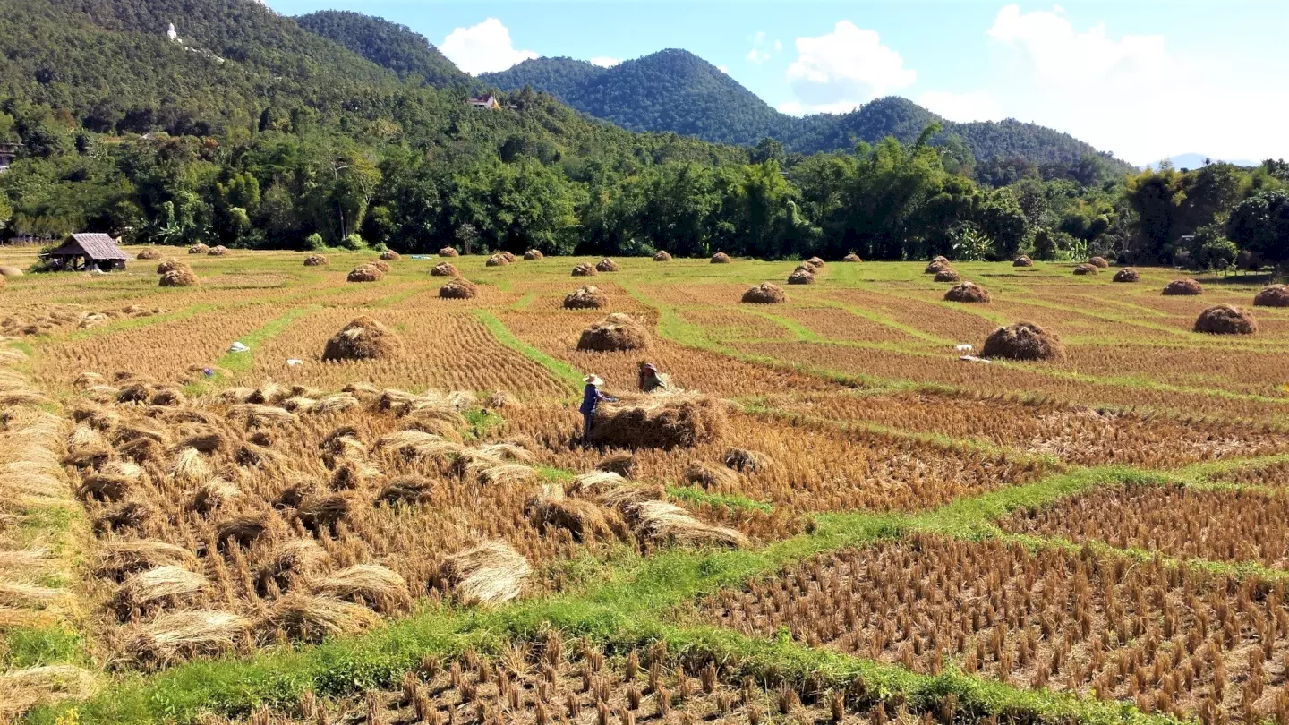 Wat te doen in Pai (Thailand)