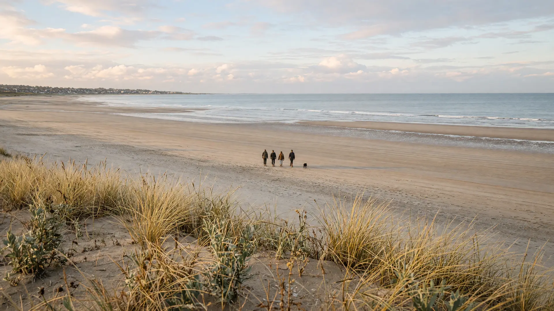 Duinen en breed strand aan de westkust in de herfst