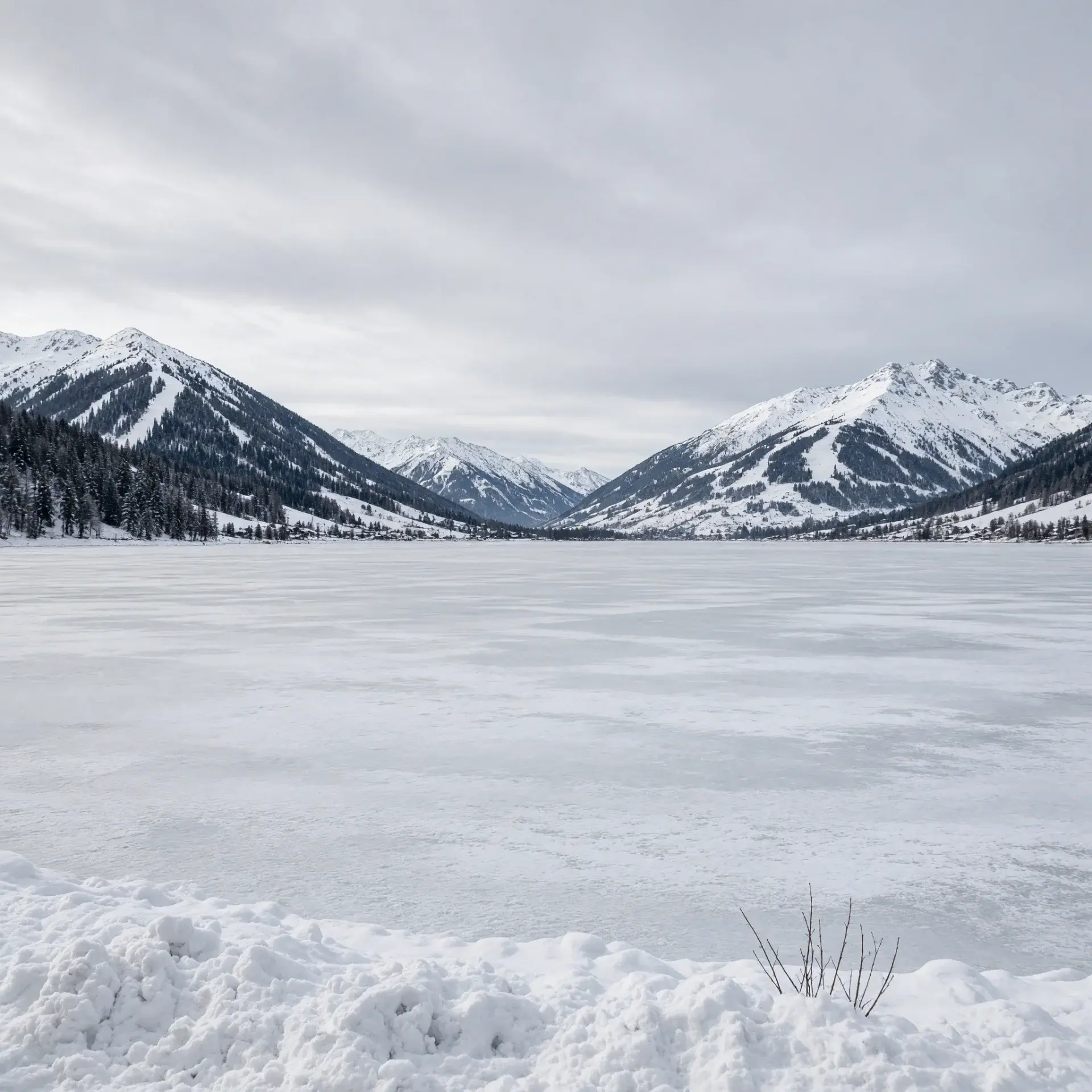 Zell am See met alpenmeer en bergen