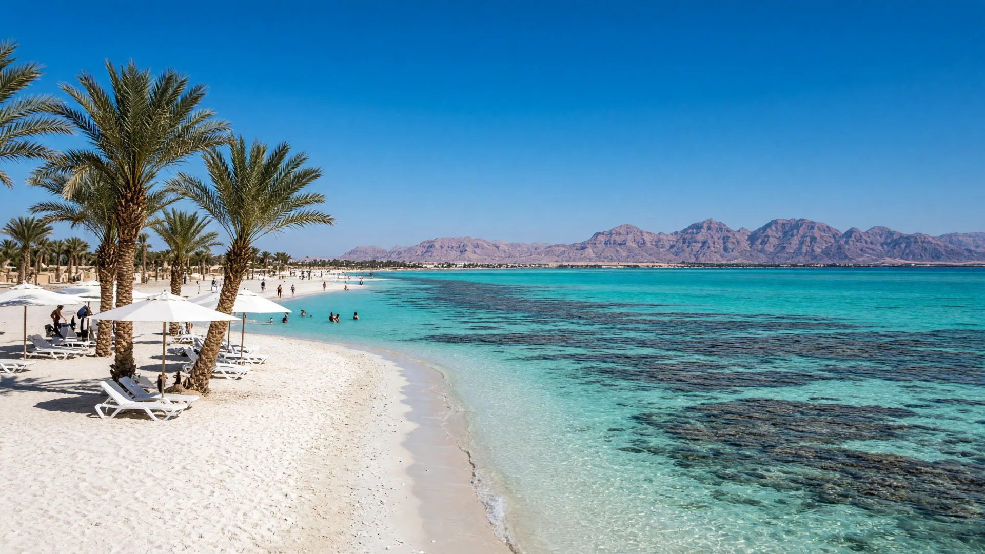 Strand met palmbomen en parasols aan de Rode Zee in Egypte