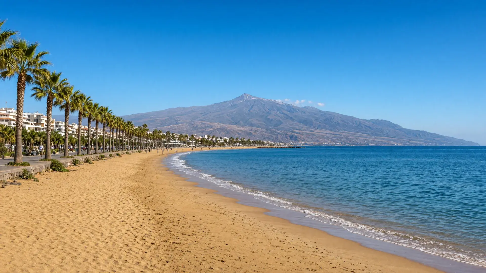 Strand met palmbomen op Tenerife met de Teide op de achtergrond