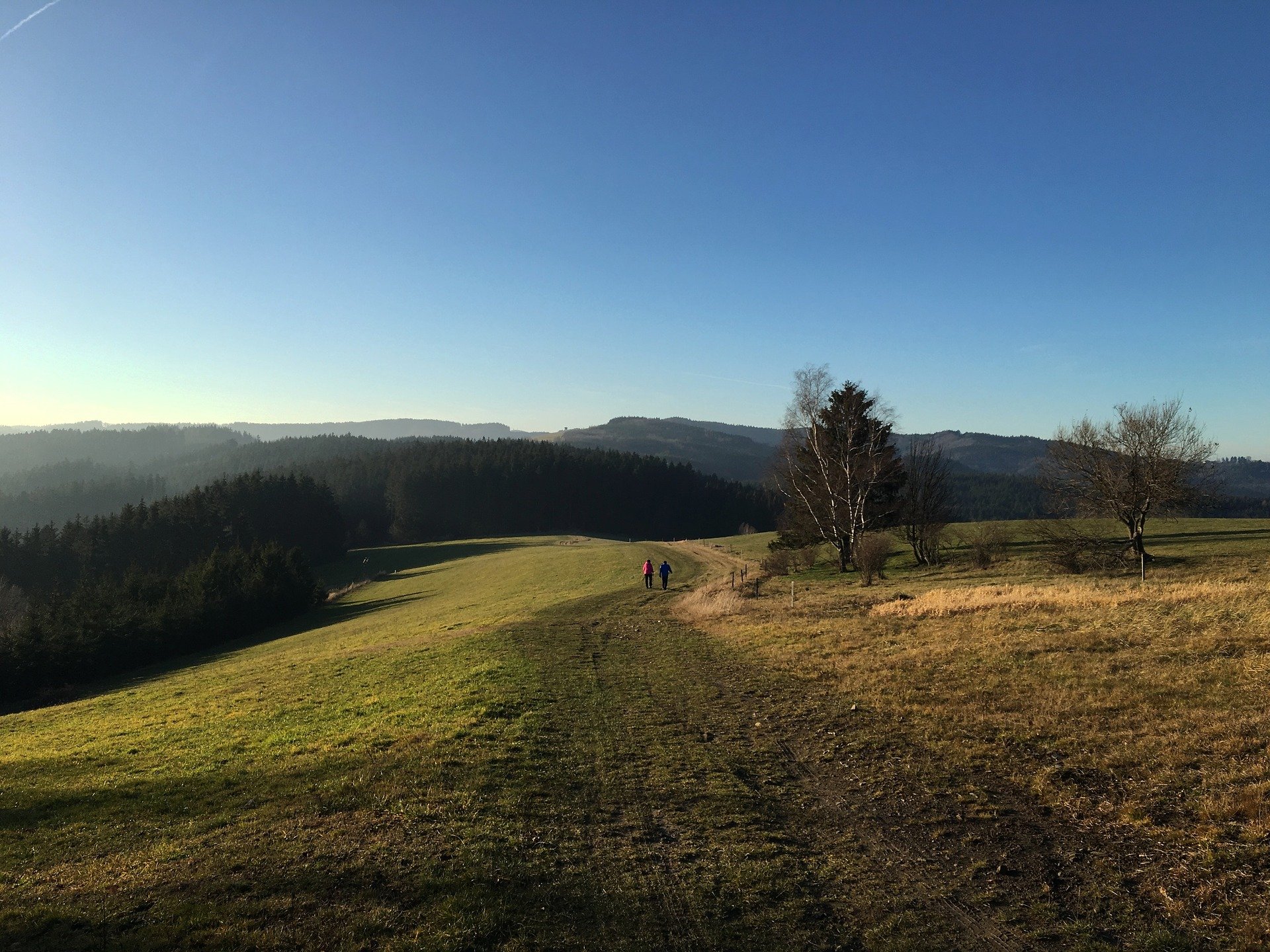 Wandelroutes en fietstochten in Tsjechië